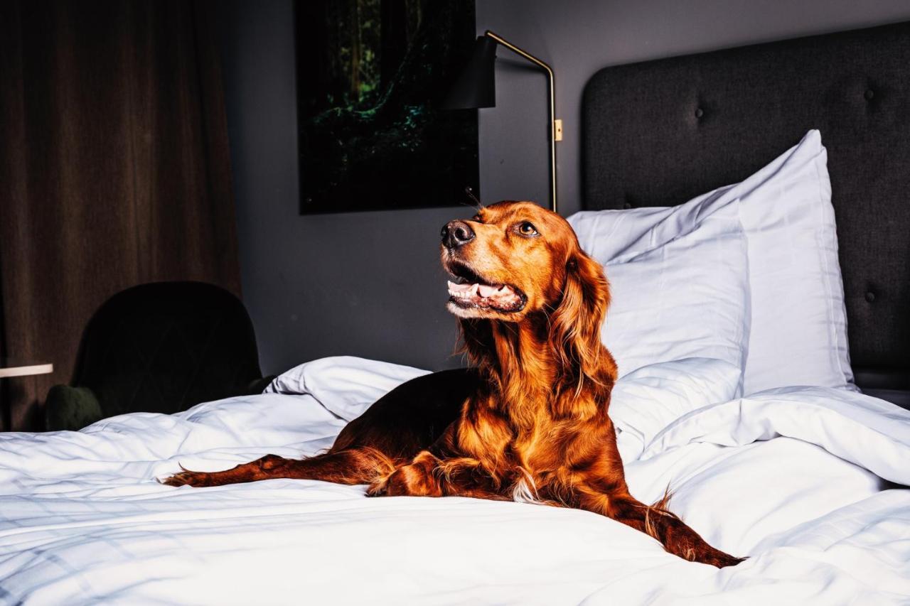 Hotell Soedra Berget Sundsvall Esterno foto