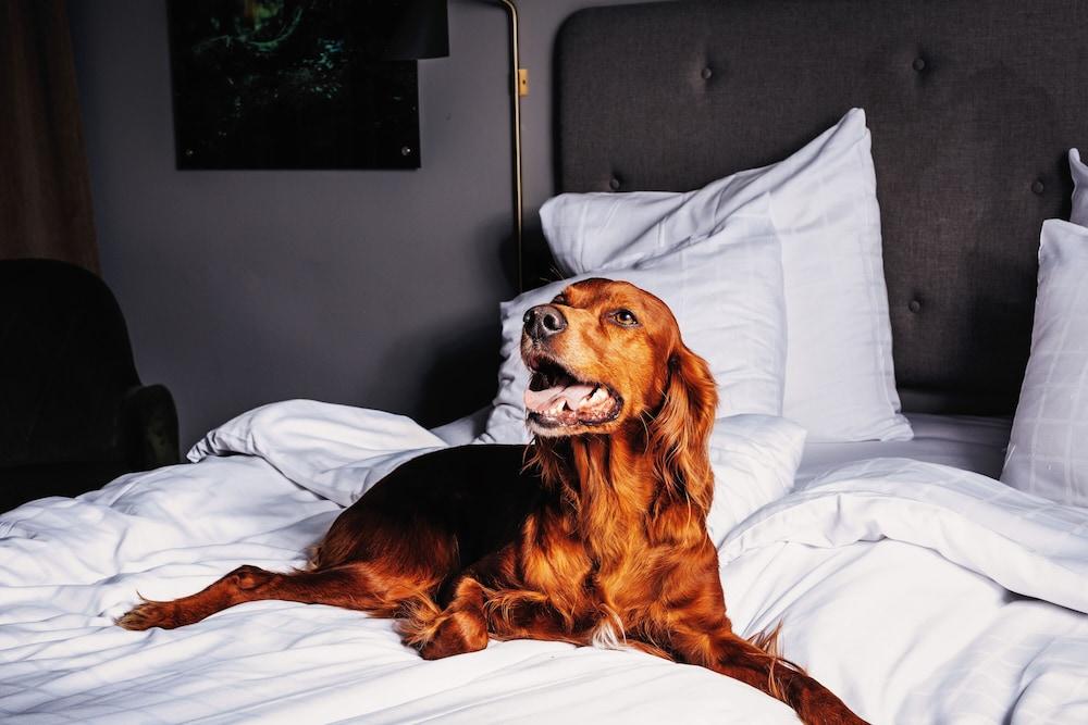 Hotell Soedra Berget Sundsvall Esterno foto